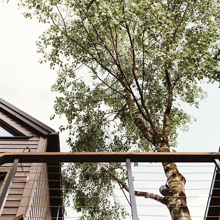 Holiday home Drzewostan Niechorze